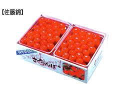 �ŽϤ������ܡ���ƣ�ӡʣ��̡�500g �� ���ѥå��ڼ�͡�