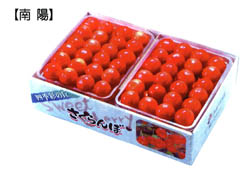 �ŽϤ������ܡ����ۡʣ��̡�500g �� ���ѥå��ڼ�͡�