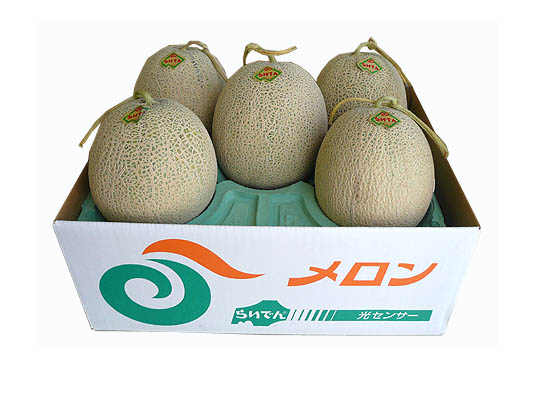 �餤�Ǥ����󡡽��ʡ���1.6Kg �� ���̡�
