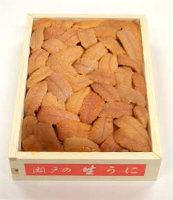 特選 生うに(バフンウニ 赤)150g